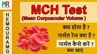 MCH blood test in hindi  MCH कम क्यों होता है  MCH नार्मल कैसे करें  MCH low के लिए क्या खाएं [upl. by Gilberta897]