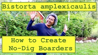 How to Create NoDig Boarders  Bistorta amplexicaulis Red Bistort or Mountain Fleece [upl. by Halliday]