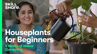 Houseplants for Beginners 5 Basics for Gardening Indoors [upl. by Salis]