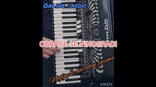 OBRAŠE SE VINOGRADI [upl. by Sadoff]