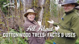 All About Cottonwood Trees Facts amp Uses [upl. by Wier]