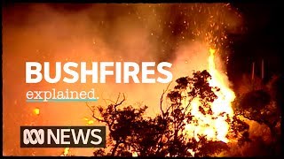 The science of bushfires explained  ABC News [upl. by Oniuqa]