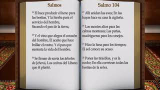 Audio libro de Salmos del 97 al 150 [upl. by Anitahs]