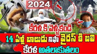 Nipah Virus In Kerala  Rise of Nipha Virus Cases 2024  Symptoms Of Nipah Virus  iDream Ayurveda [upl. by Alfi]