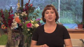 Gardening Tips amp Tricks  How Do White Carnations Grow [upl. by Moule]