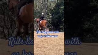 Need better scores in a dressage test for your half pass dressage horse community equestrian [upl. by Corabella]