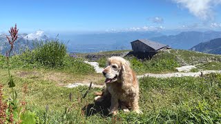 Chäserrugg  Hinterrugg im schönen Toggenburg  Simon Lüthi spielt Hausi Straub E treue Fründ [upl. by Coffeng469]