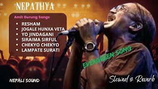 NEPATHYA  EVERGREEN SONG  Popular Song Collection  Amit Gurung  Slowed amp Reverb  Nepali Sound [upl. by Eveivaneg]