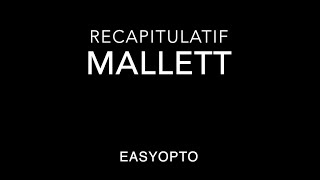 Analyse de la vision  Récapitulatif  MALLETT [upl. by Ciccia]