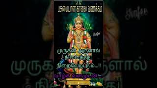 Kantha Sasti Kavasam kanthasastikavasam devotionalsongs murugansongs [upl. by Ahsiret]