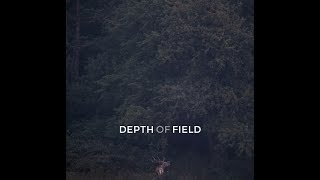 Dub Techno Mix 1  Depth of Field [upl. by Agn]