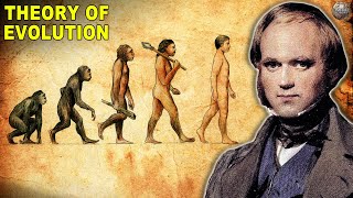 What Happened After Theory of Evolution Was Published [upl. by Anirba]