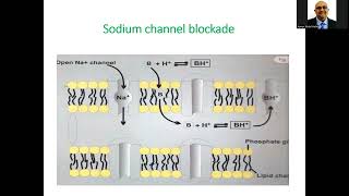 Local Anesthetics from A to Z [upl. by Amla]