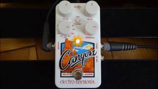 Electro Harmonix Canyon Delay amp Looper  Tape Delay Demo [upl. by Tory386]