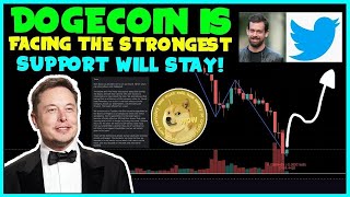 FAST DOGECOIN IS ABOUT TO GO MAINSTREAM 025 GREAT NEWS Elon Musk  NEW RoadMap NEW PARTNER [upl. by Funk860]