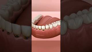 dental teeth animation viral shorts health motivation 3d fitness gym 3danimation anatomy [upl. by Hoem861]