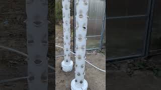 Aeroponic Tower SUCCESS [upl. by Lua]