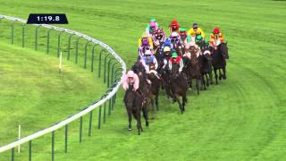 Le Remix de la course 2012 du Qatar Prix de lArc de Triomphe [upl. by Sedda]