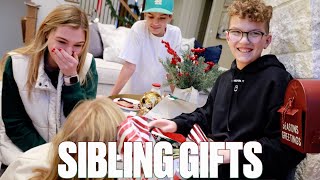 SECRET SIBLING GIFT EXCHANGE  GOOD GIFT VS BAD GIFT  BUYING CHRISTMAS GIFTS FOR SIBLINGS [upl. by Nymzaj731]