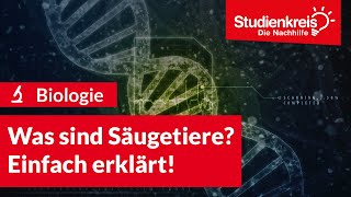 Was sind Säugetiere Einfach erklärt  Biologie verstehen mit dem Studienkreis [upl. by Mcnamara]