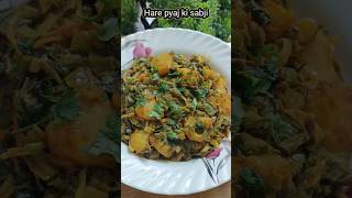 Hare pyaj ki sabji  hare pyaj recipe  cooking  food  tasty delight vibe [upl. by Ennaira]