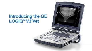 LOGIQ™ V2 Vet Portable Veterinary Ultrasound [upl. by Fugere]