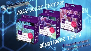 Aquaforest TestPro Test Kits Preview [upl. by Mik]