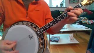 Touch Me If You Dare Fermoy Lasses Tommy Peoples Banjo [upl. by Skardol]