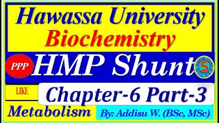 carbohydrates metabolism glycolysis ppp malaria university hamsterkombat tapswap [upl. by Pfeifer]