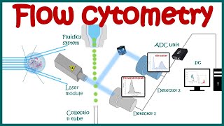 Flow cytometry  basic principles  What the use of flow cytometry   Cell sorting by FACS [upl. by Anai]