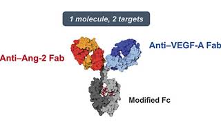 Faricimab mechanism of action [upl. by Ayotac]