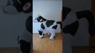 Cow Costume for Two [upl. by Nimaj241]