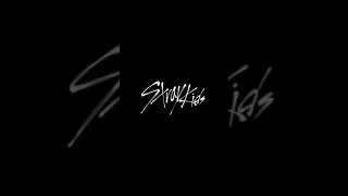 スキズseasons greetings 日本限定 スキズ 스트레이키즈 straykids stay [upl. by Newbill]