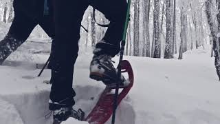 Ciaspolata alla Sellata  Sulla neve in Basilicata [upl. by Ayarahs]