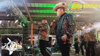 BANDA LOS PAJARITOS DE TACUPA MICHOACAN  EN CONCIERTO  OCALA FLORIDA [upl. by Xanthus441]