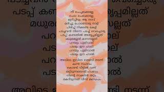 Nee chechelakkallesafa musthafasonglyrics songlyrics [upl. by Aisirtap]