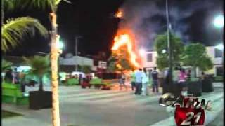 INCENDIO DEL ARBOLflv [upl. by Idid819]