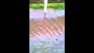 Flooding in Terenure College RFC [upl. by Lucchesi]