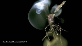 Intellectual Ventures Mosquito Laser Shootdown Sequence [upl. by Arbua]