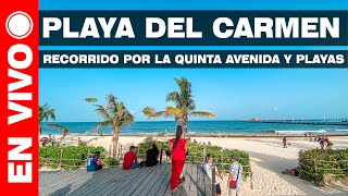 🔴 Playa del Carmen en Vivo  Playas con Sargazo [upl. by Yrellav]