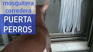 Cómo hacer una puerta para perros en mosquitera corredera [upl. by Acireh214]