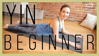 45 min Beginner Yin Yoga  Full Body Stretch Episode 366 [upl. by Ajed]