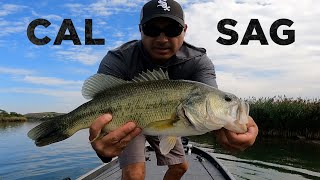 Dirty Bassin 17  Cal Sag Fall Feed [upl. by Nabila]