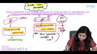 HAEMOLYTIC ANEMIA  PART 2 By Dr Illa jain khandelwal Pathology by Marrow Video Lacture [upl. by Allis]