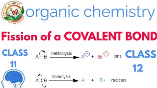 Homolytic and Heterolytic bond cleavage of Covalent bond heterolyticcleavagehomolysisheterolysis [upl. by Magnusson760]