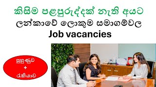 Trainee Job Vacancies in Sri Lanka  Best Opportunities for Freshers 2024 [upl. by Mead]