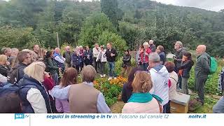 Un viaggio nella botanica con Marco Pardini nelle terre di Fosciandora [upl. by Byrann]