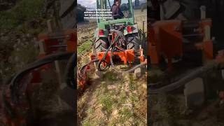 Interrow Cultivator LUV Perfekt  Made By Braun Macchine Agricole srl Italy  farming shorts [upl. by Zilada]