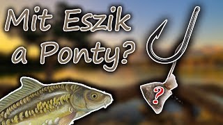 Mit Esznek a Pontyok [upl. by Htinnek195]