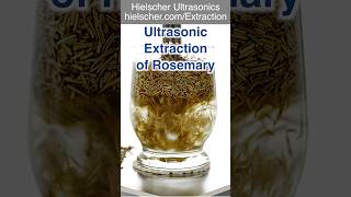 Rosemary Extraction Using an Ultrasonic Homogenizer UP400St ultrasonic extraction sonicator [upl. by Nylrehc]